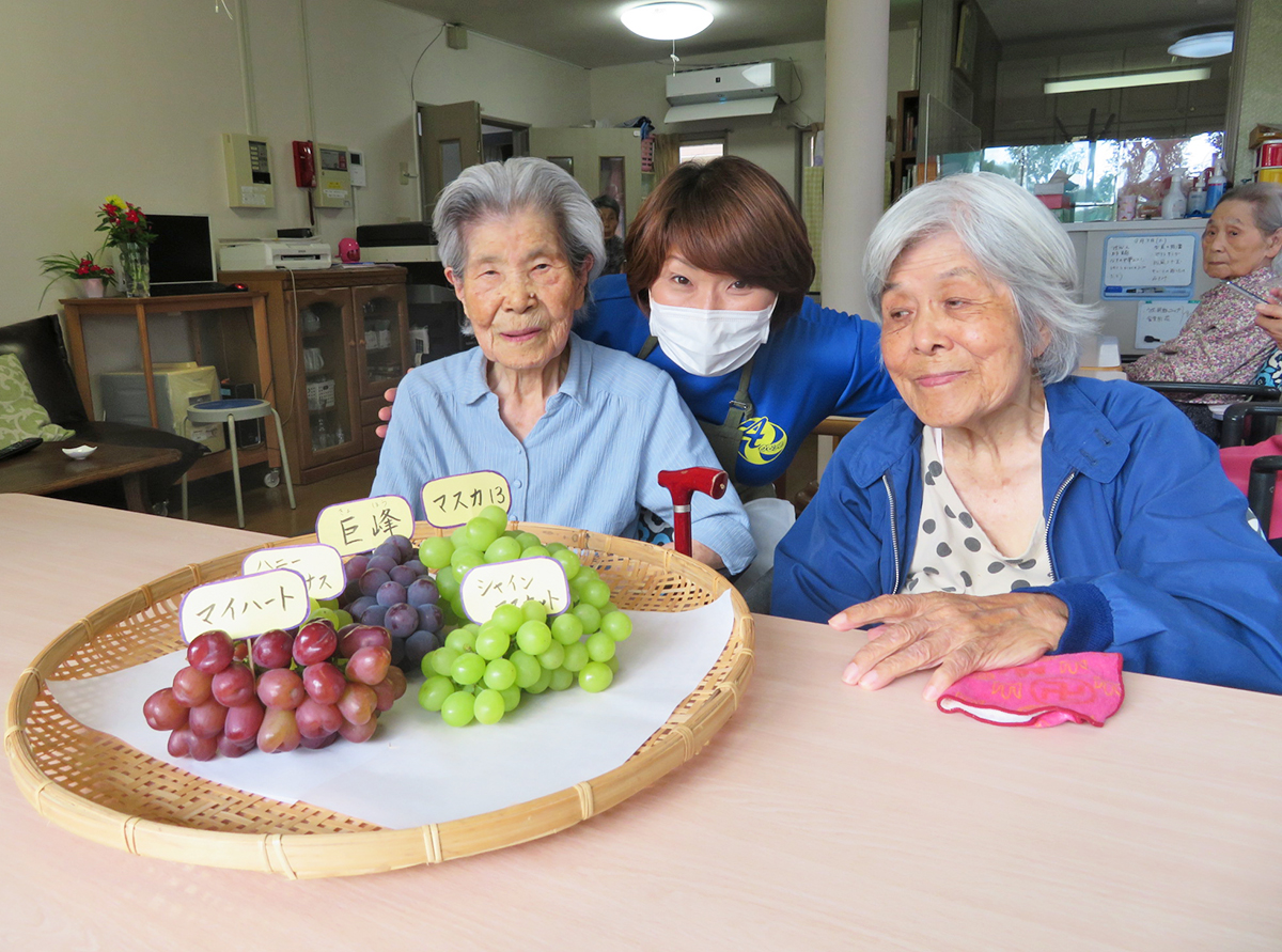 葡萄の食べ比べ