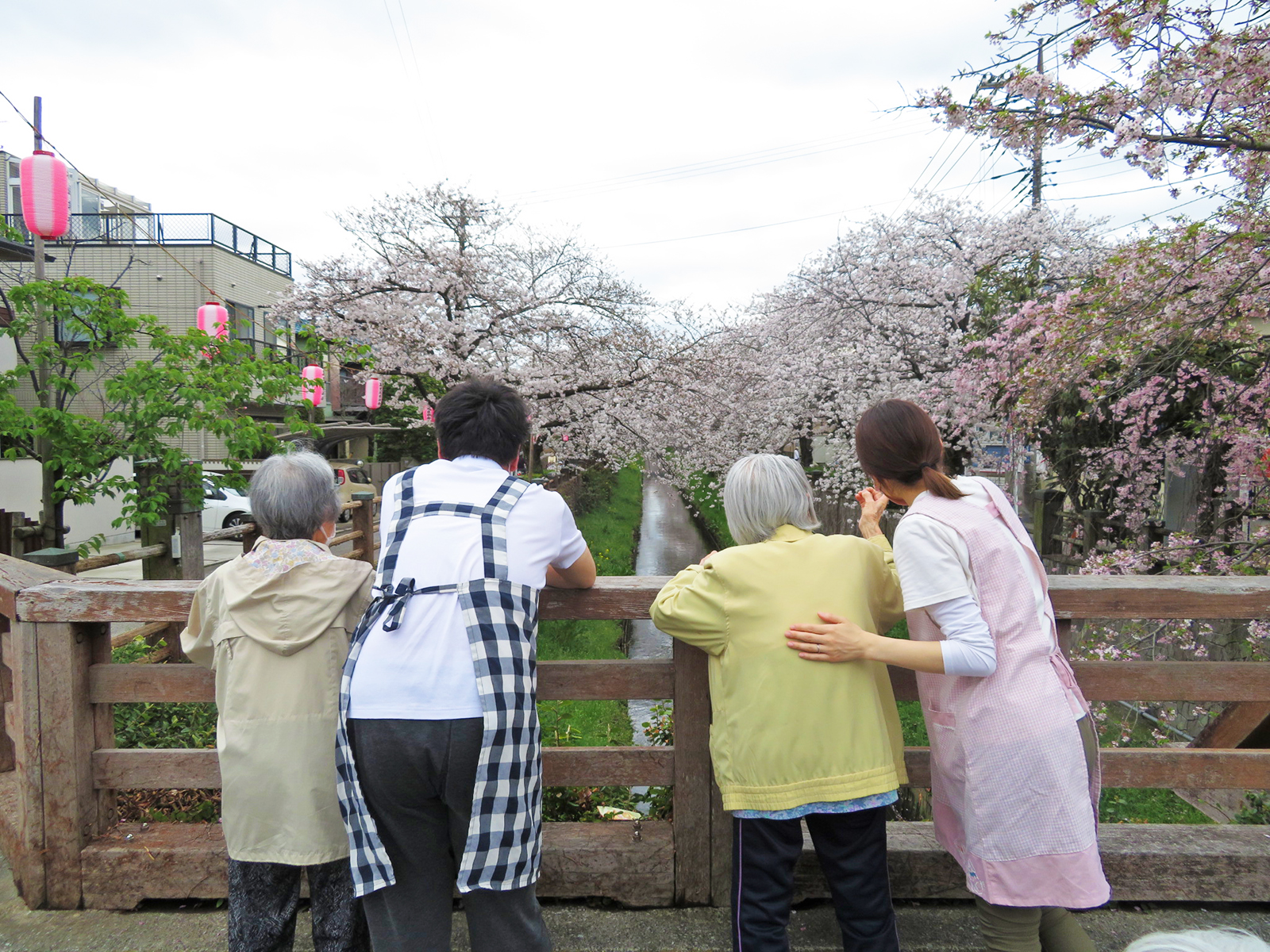 真間川へのお花見