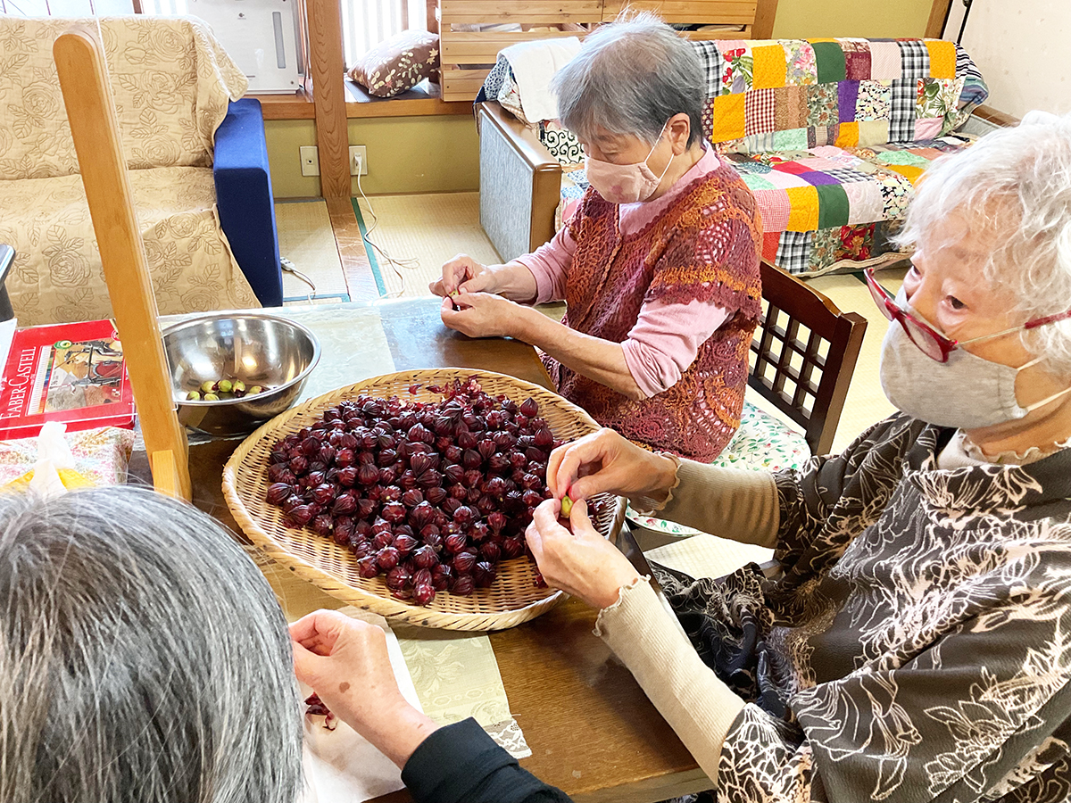 クレオパトラも飲んだローゼルティー