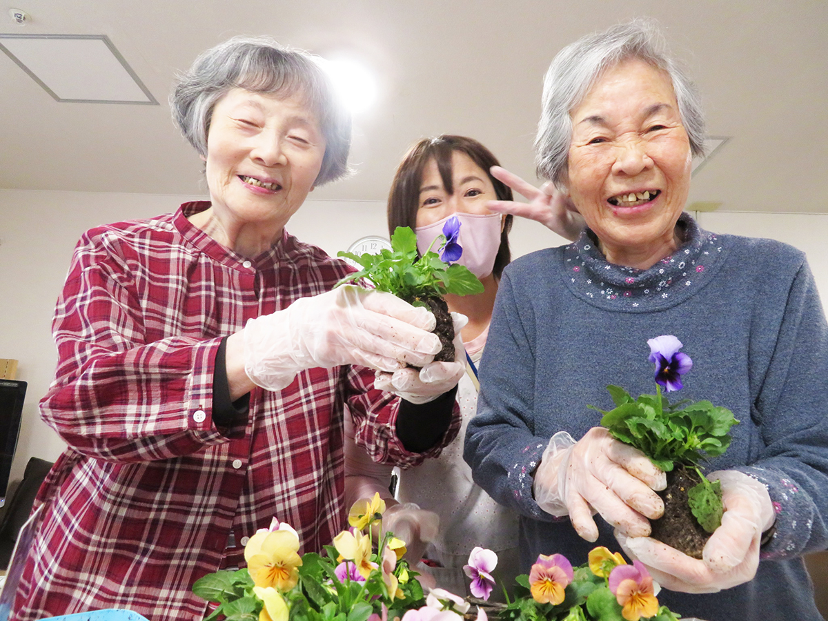 世界に一つだけのビオラのリース