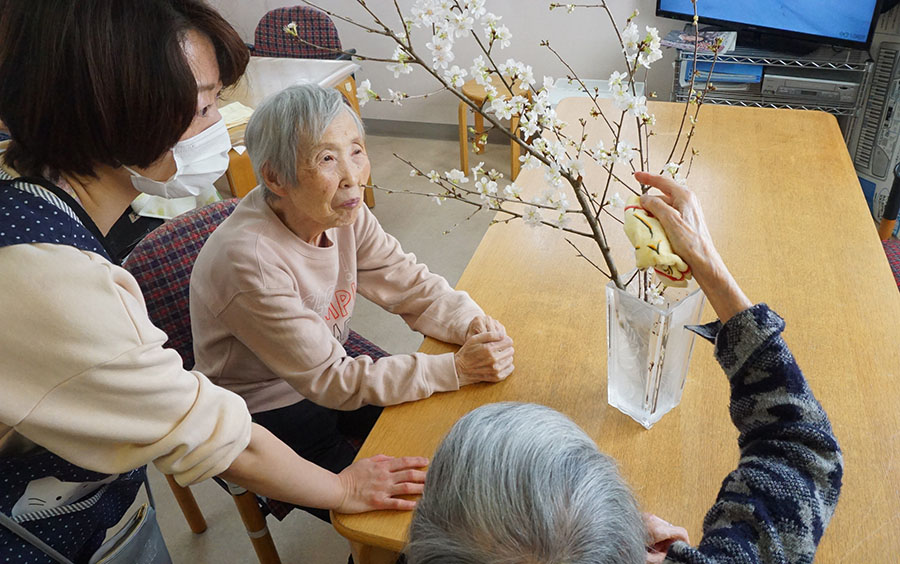 彼岸桜でお花見