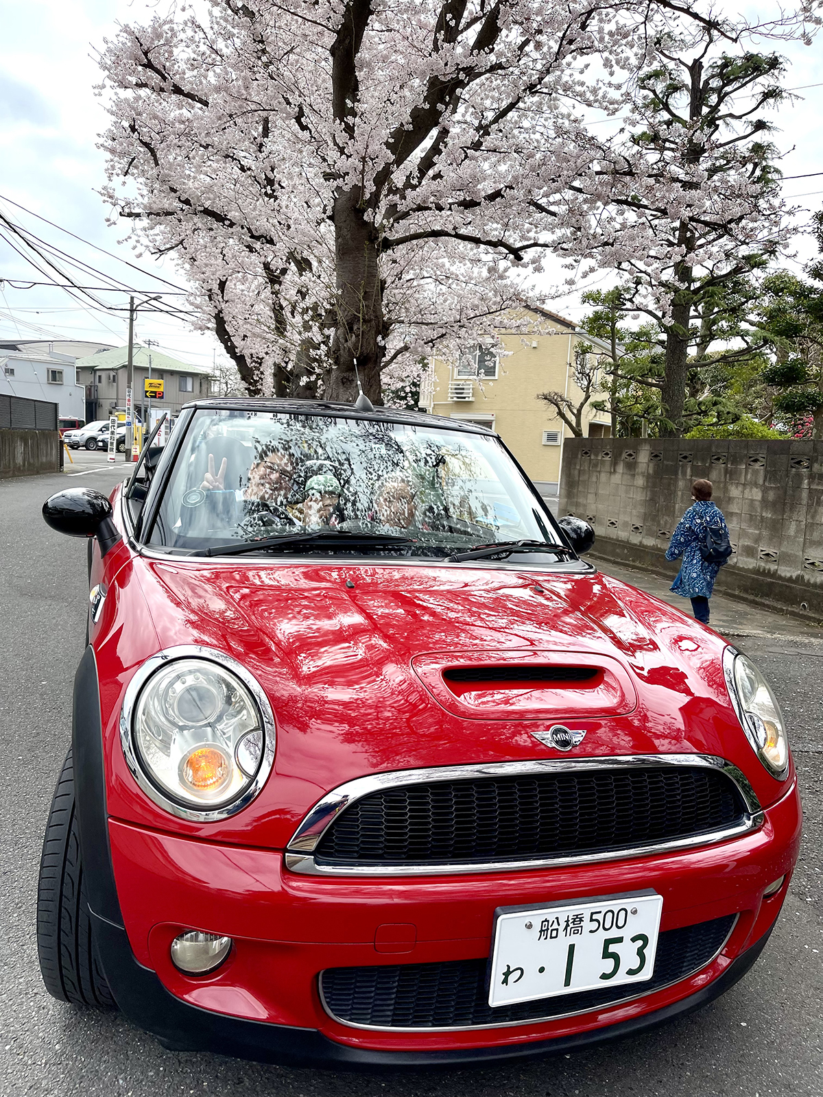 お花見はオープンカーで！