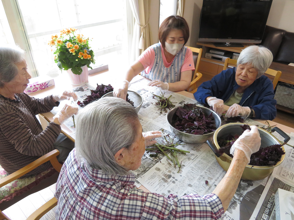 夏の始まりは手作りしそジュースから！