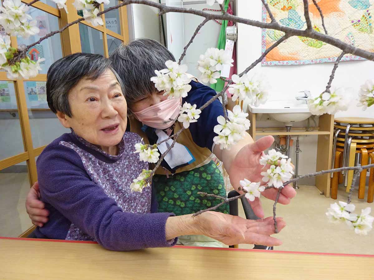 間近にみる桜も素敵です