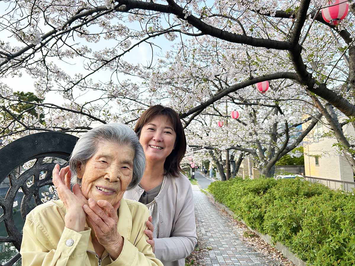 いちかわ真間川　堤桜ウィーク2024