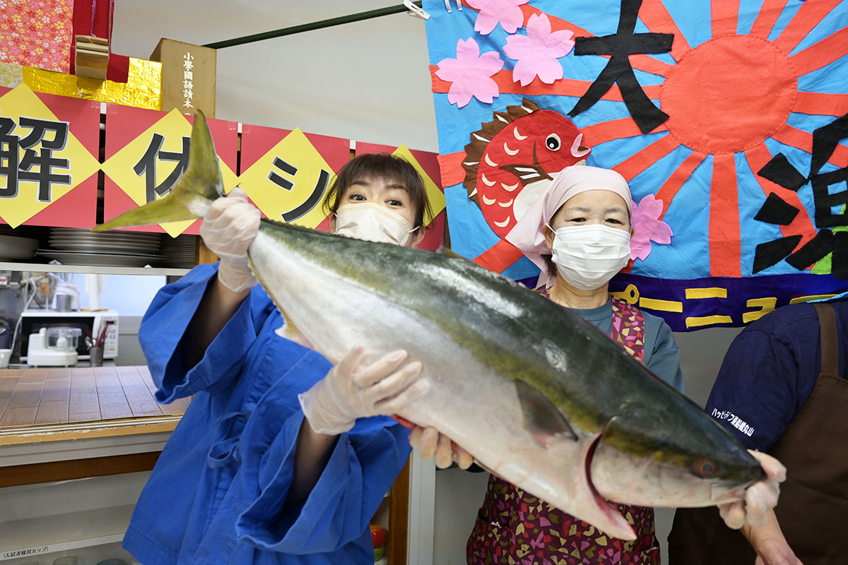 噴火湾で獲れた１０ｋｇの太ったブリ