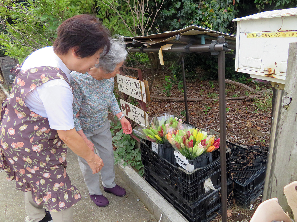 ユリの専門店へお散歩
