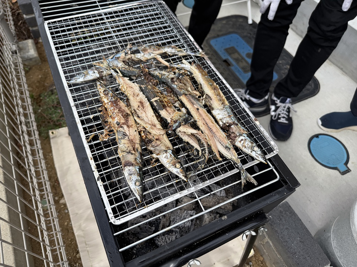 産地直送!ハサマのサンマ!
