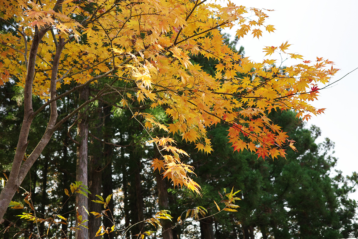 最近仕事のブログばっかじゃない？