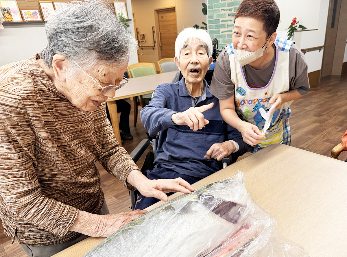ブリ解体ショーの鰤